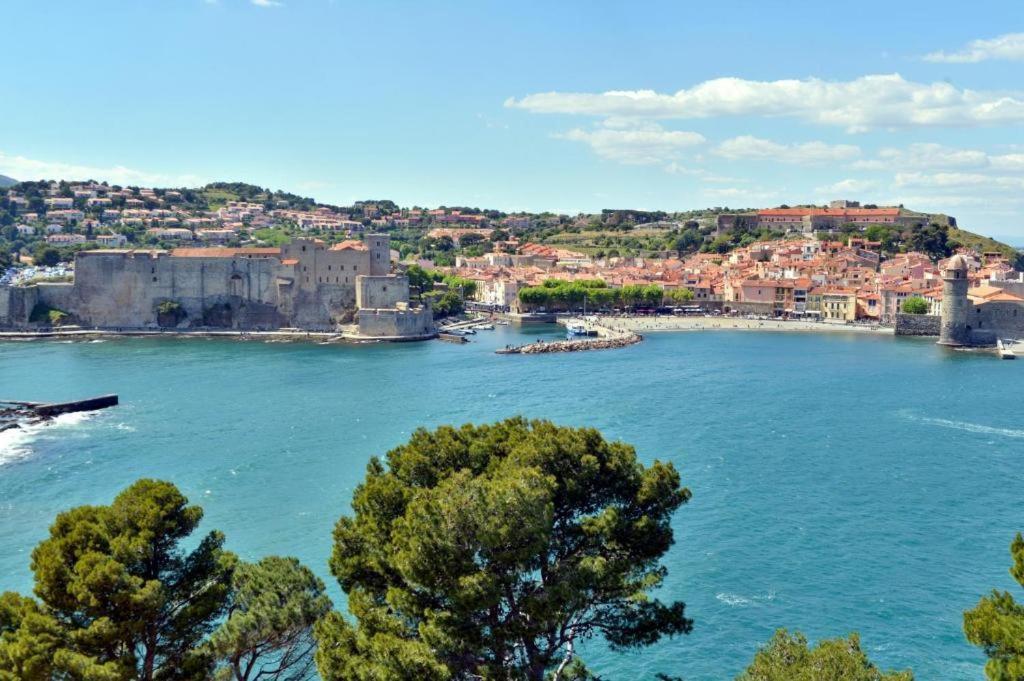 Vue Imprenable - Piscine - Parking Prive - Terrasse - Collioure Apartman Kültér fotó